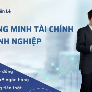 Dich Vu Chung Minh Tai Chinh Doanh Nghiep