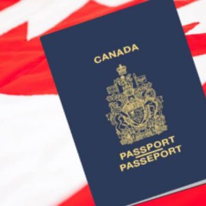 Indian Migration To Canada Up 50 Evelyn Ackah Ackah Business Immigration Law
