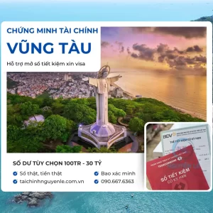 dịch vụ chứng minh tài chính vũng tàu