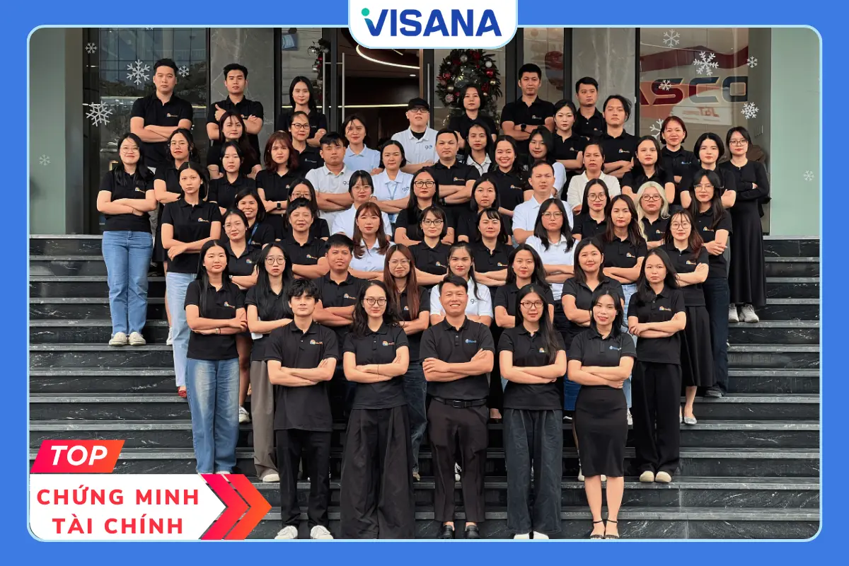 công ty visana