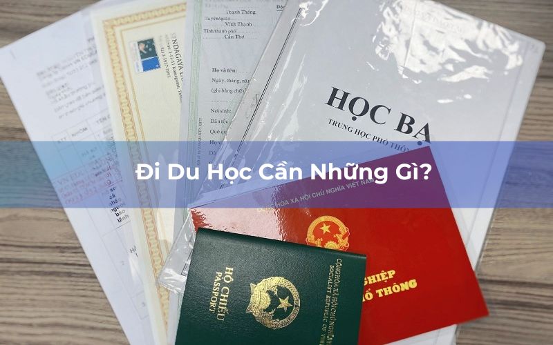 Di Du Hoc Can Nhung Gi